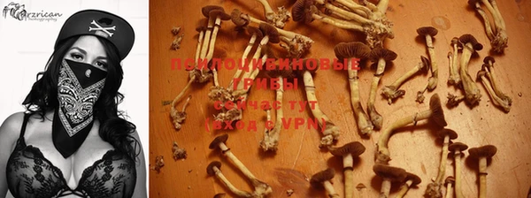 кокаин колумбия Абаза
